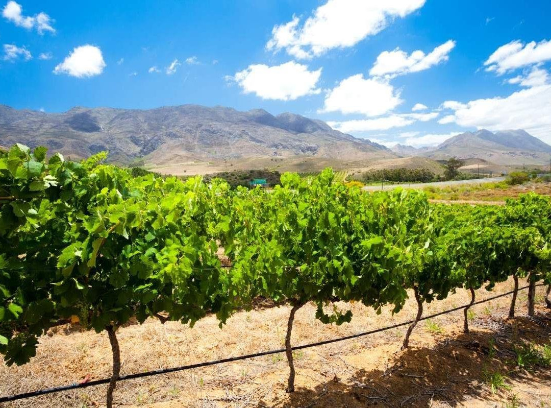 African Nature Quest-约翰内斯堡必去景点