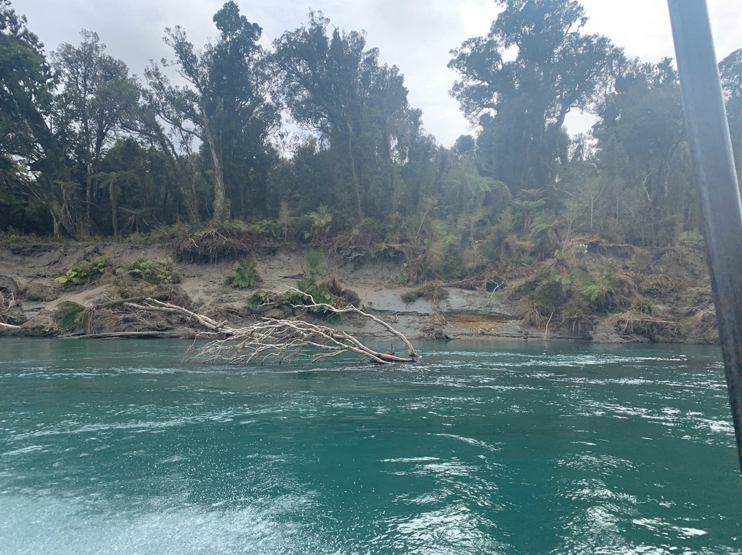 Waiatoto River Safari景点图片