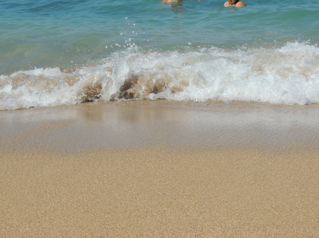 Sokolov Beach-Nahariya必去景点