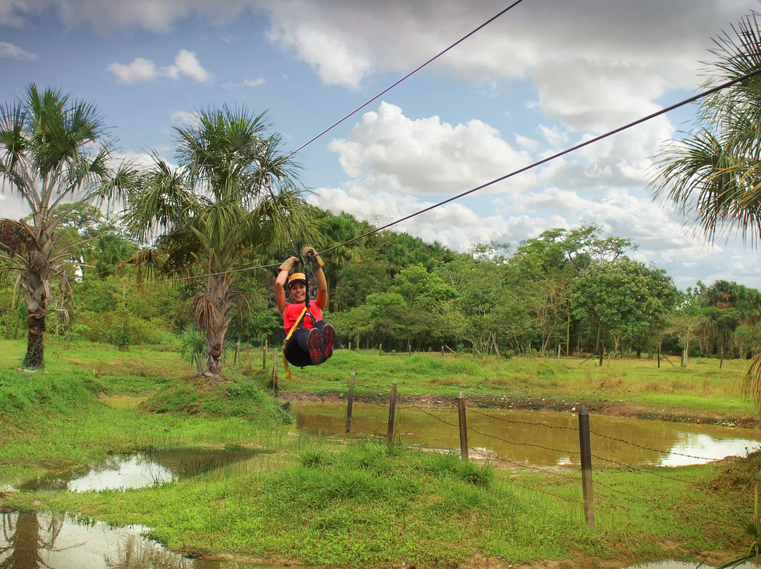 Tiuma Park-比亚维森西奥必去景点
