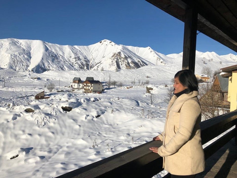 Ski House Panorama主图