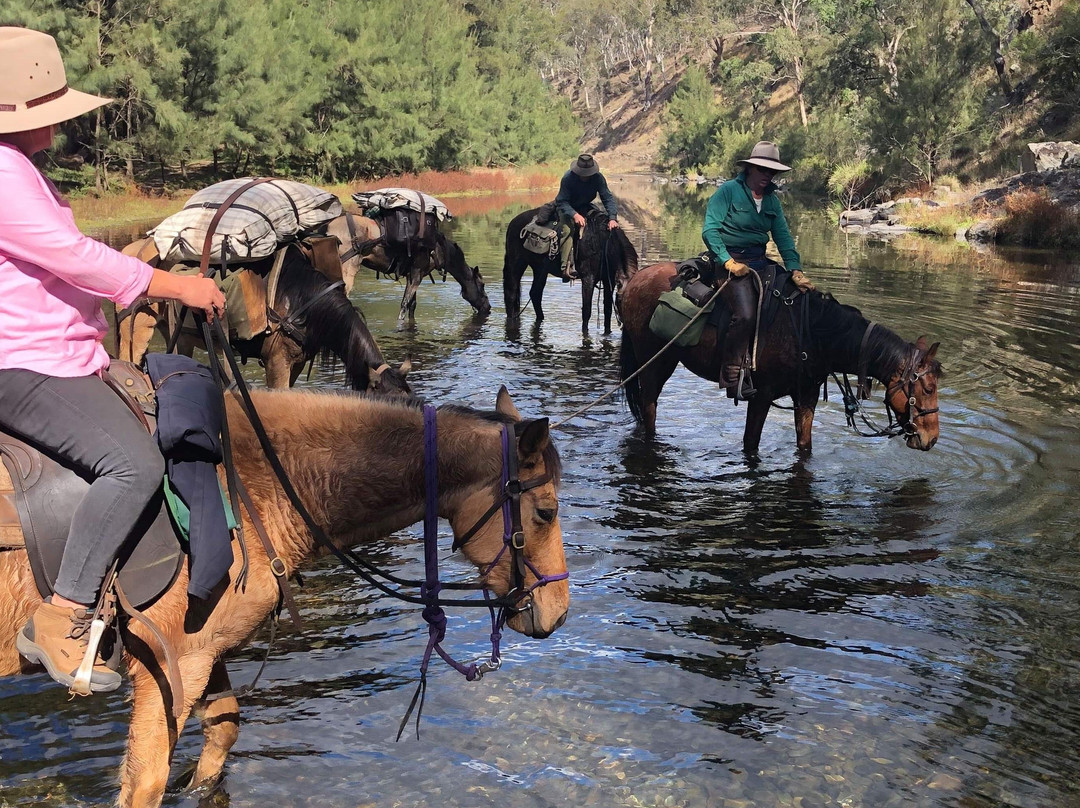 River Horse Training and Trekking景点图片