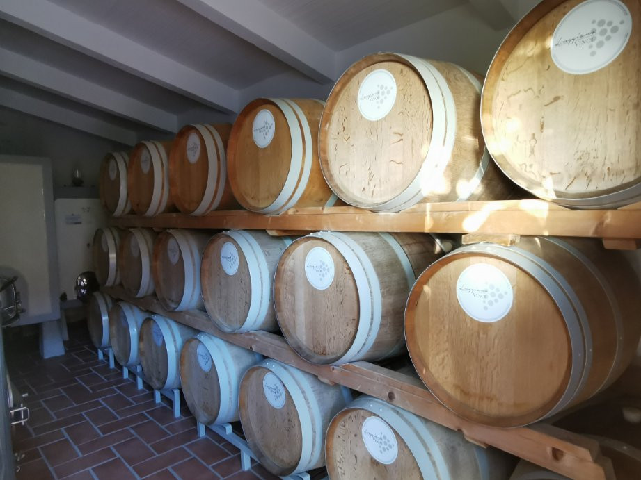 Azienda Agricola Luggiano-芬奇必去景点