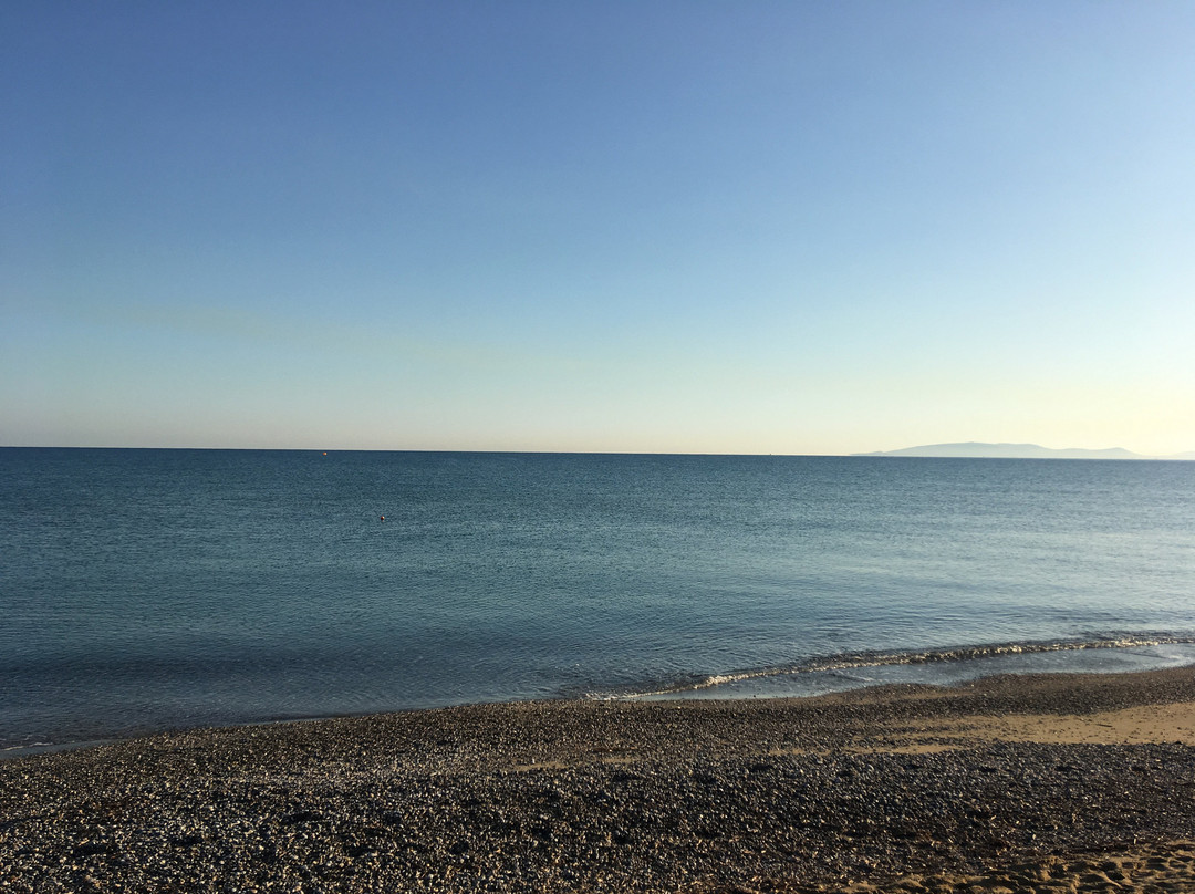 Tropical Hotel主图