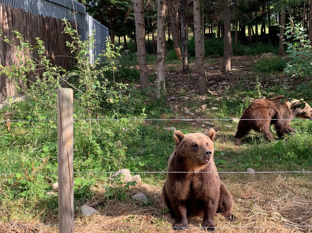 Museo dell’Orso Marsicano景点图片