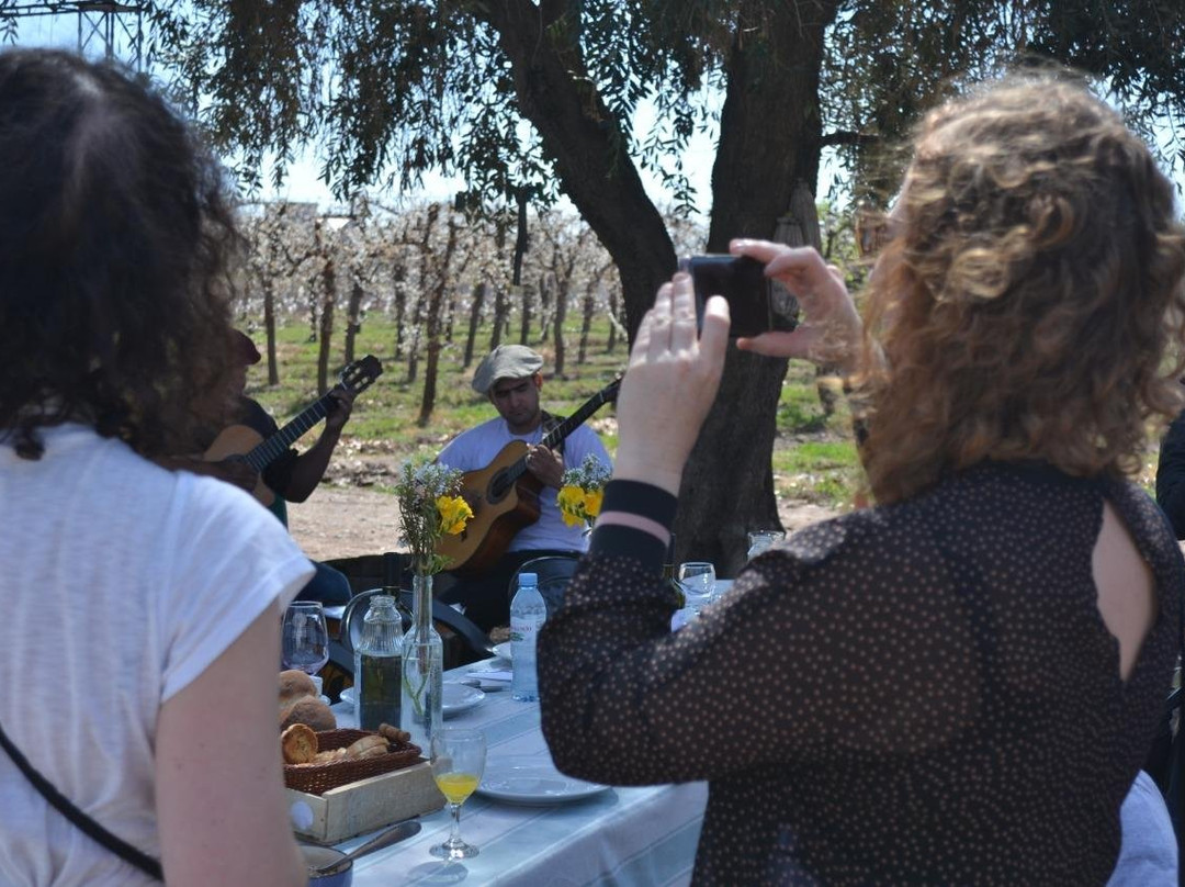 Bodega Familia Rodriguez-Maipu必去景点