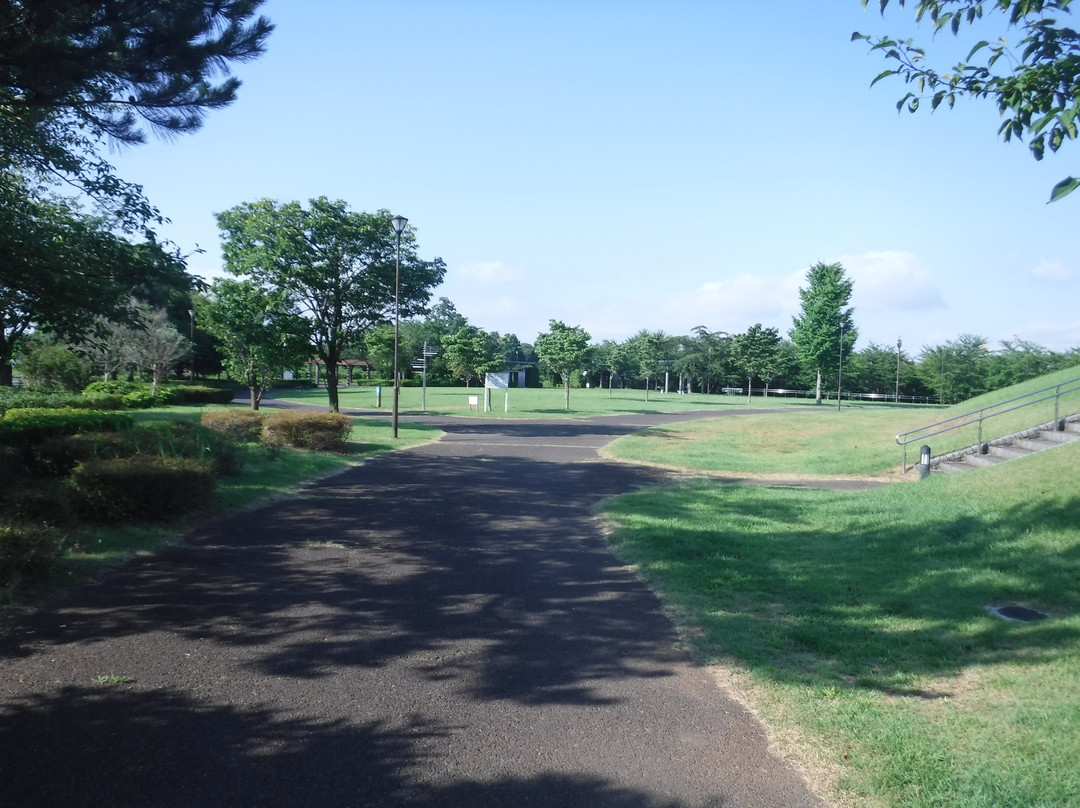 Makinohara Park-印西市必去景点