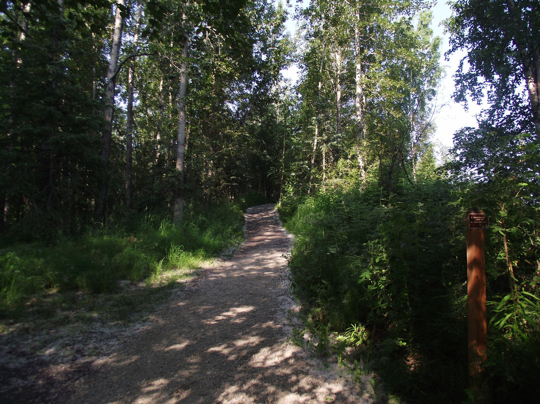 Reflections Lake-帕尔默必去景点