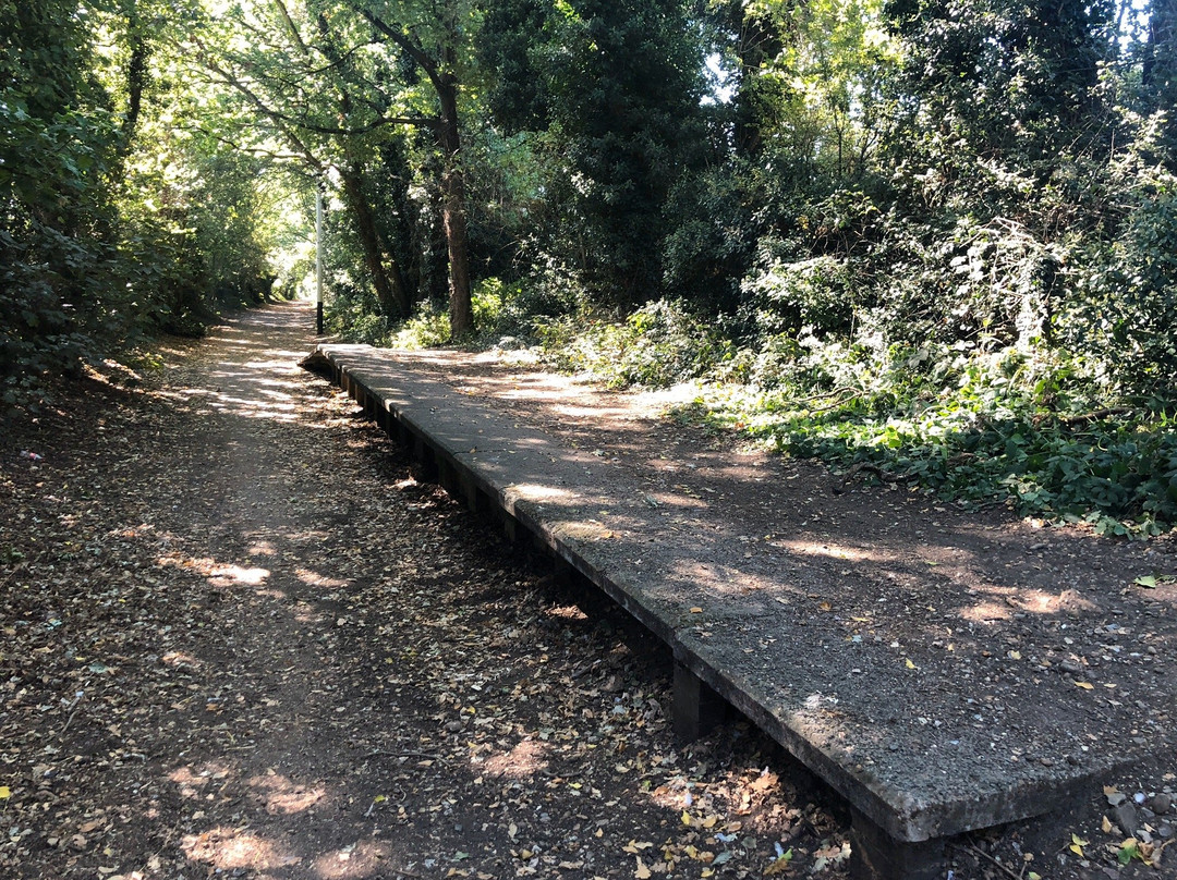The Nickey Line Rail walk景点图片