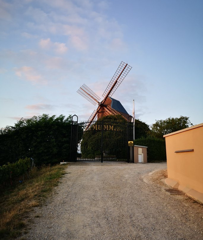 Champagne Route (Route Touristique du Champagne)-Marne必去景点