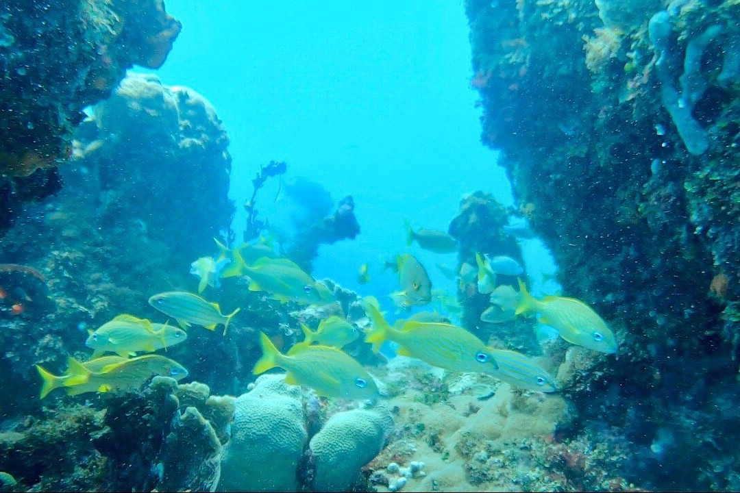 Bubble Lounge Diving-雷科必去景点