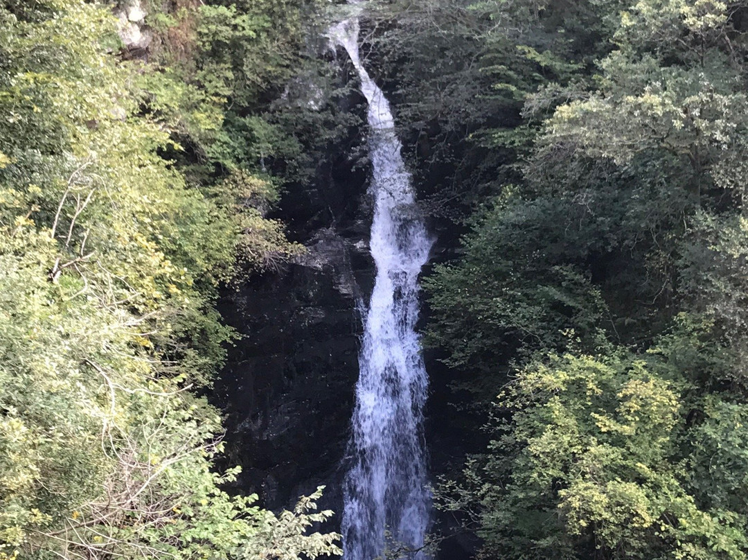 Black Spout Wood景点图片