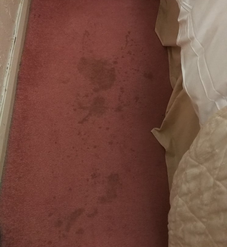 Griffin Hotel Attleborough主图