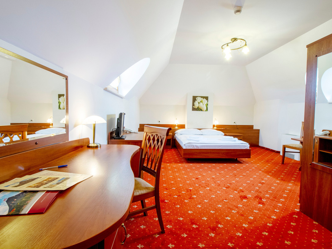 Hotel Stary Młyn主图