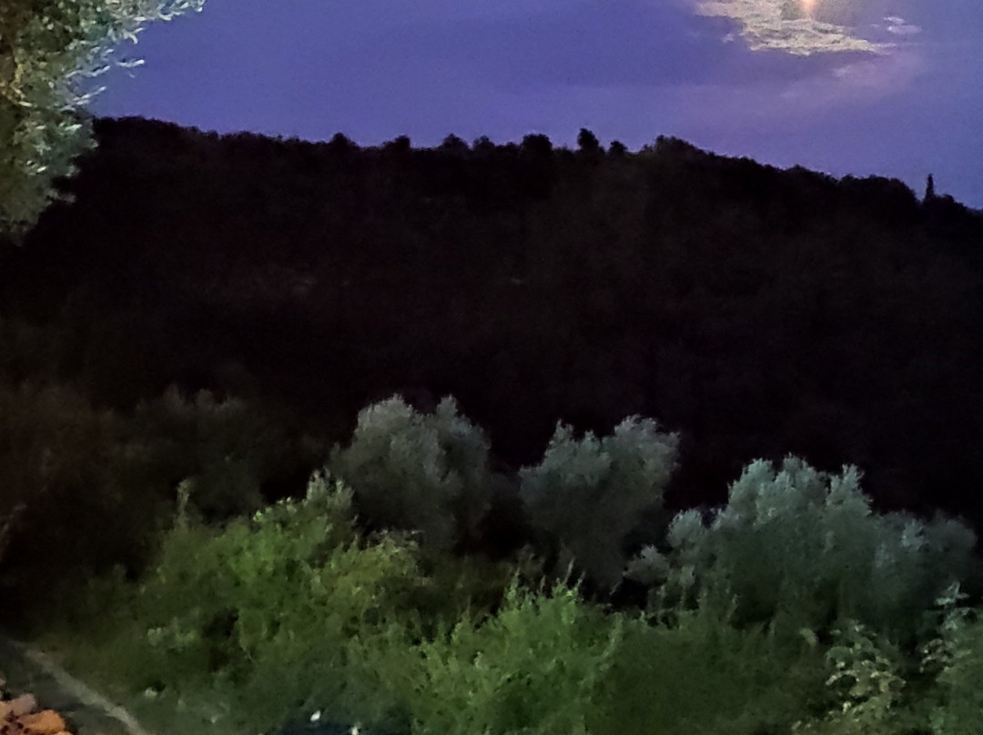 Bratica酒店住宿-Holiday Park Olive Tree