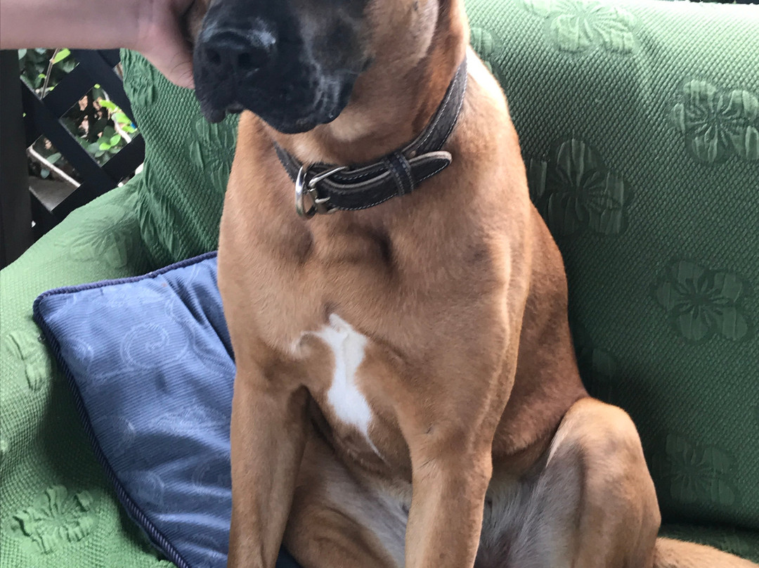 Casato Calabrese主图