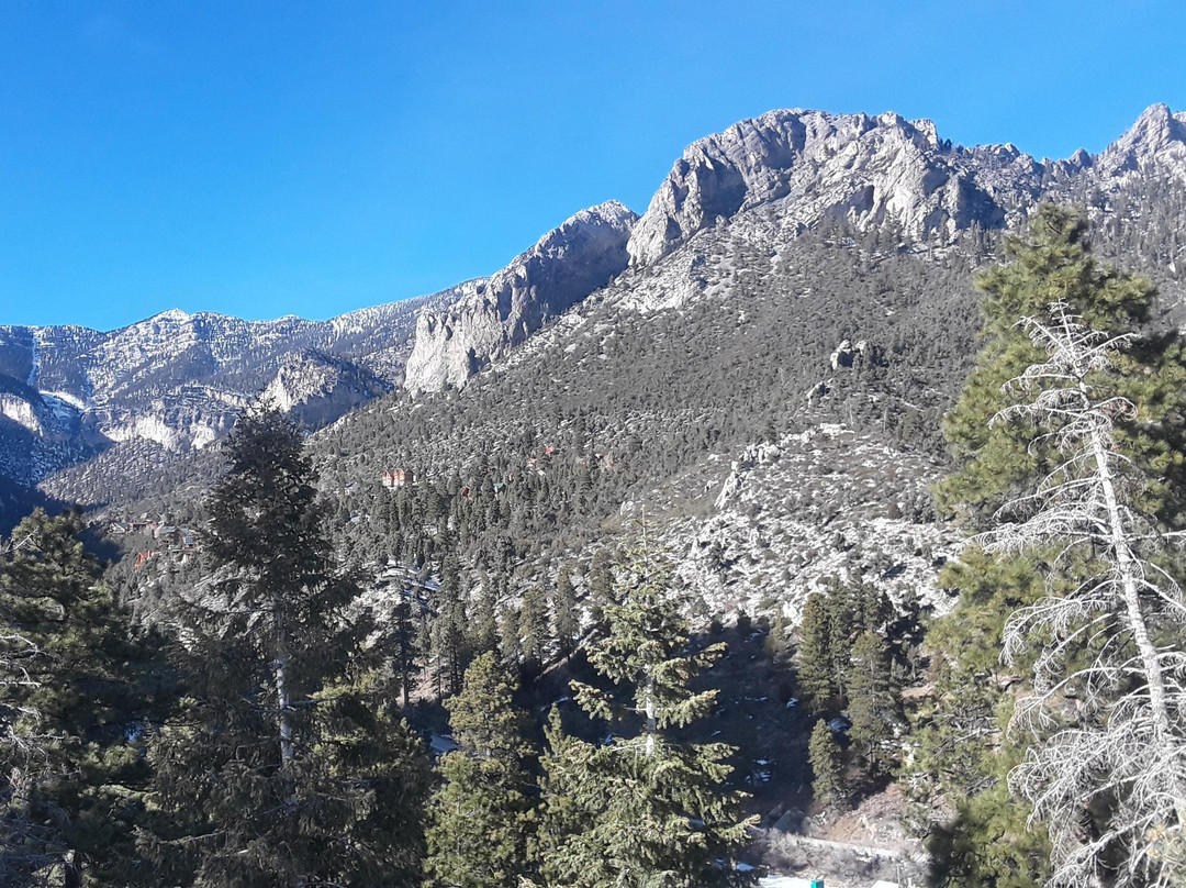 Las Vegas D-Tours-拉斯维加斯必去景点