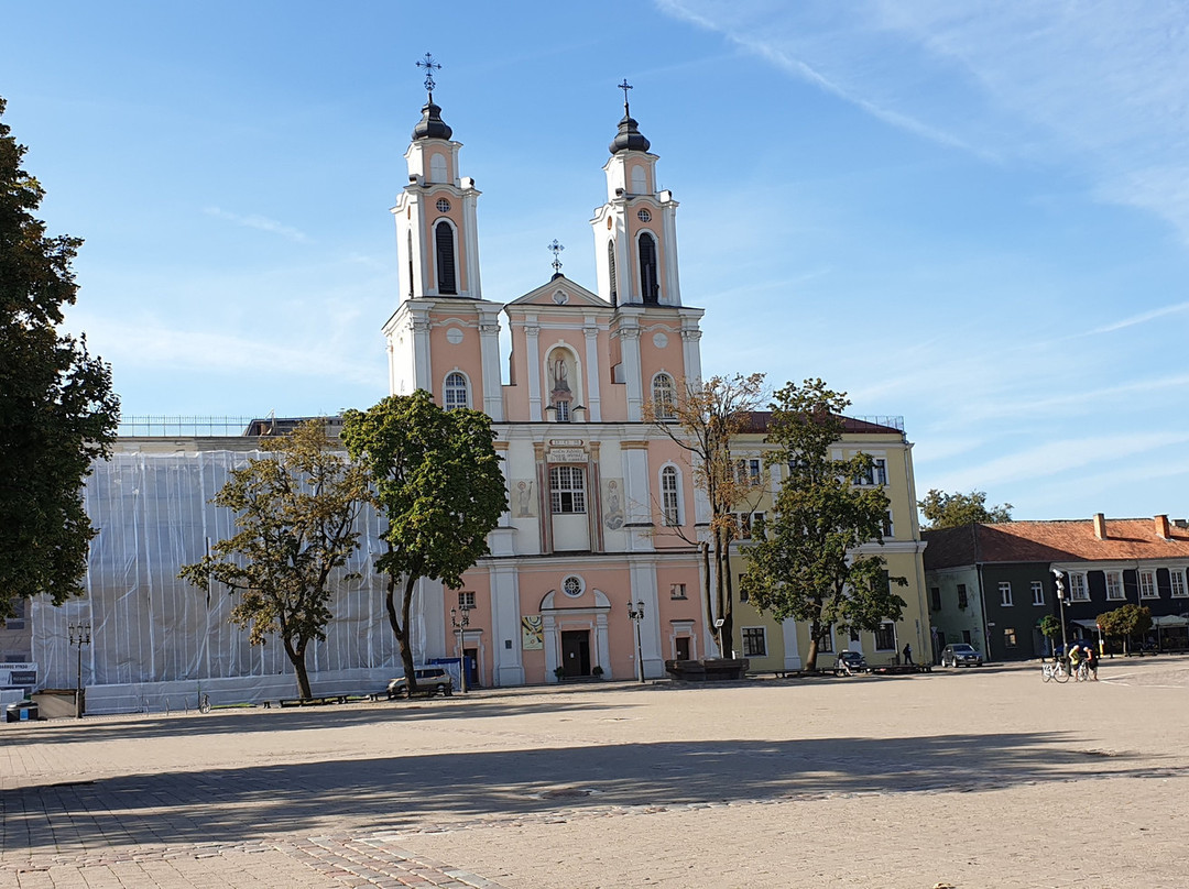 Church of St. Francis Xavier-考那斯必去景点