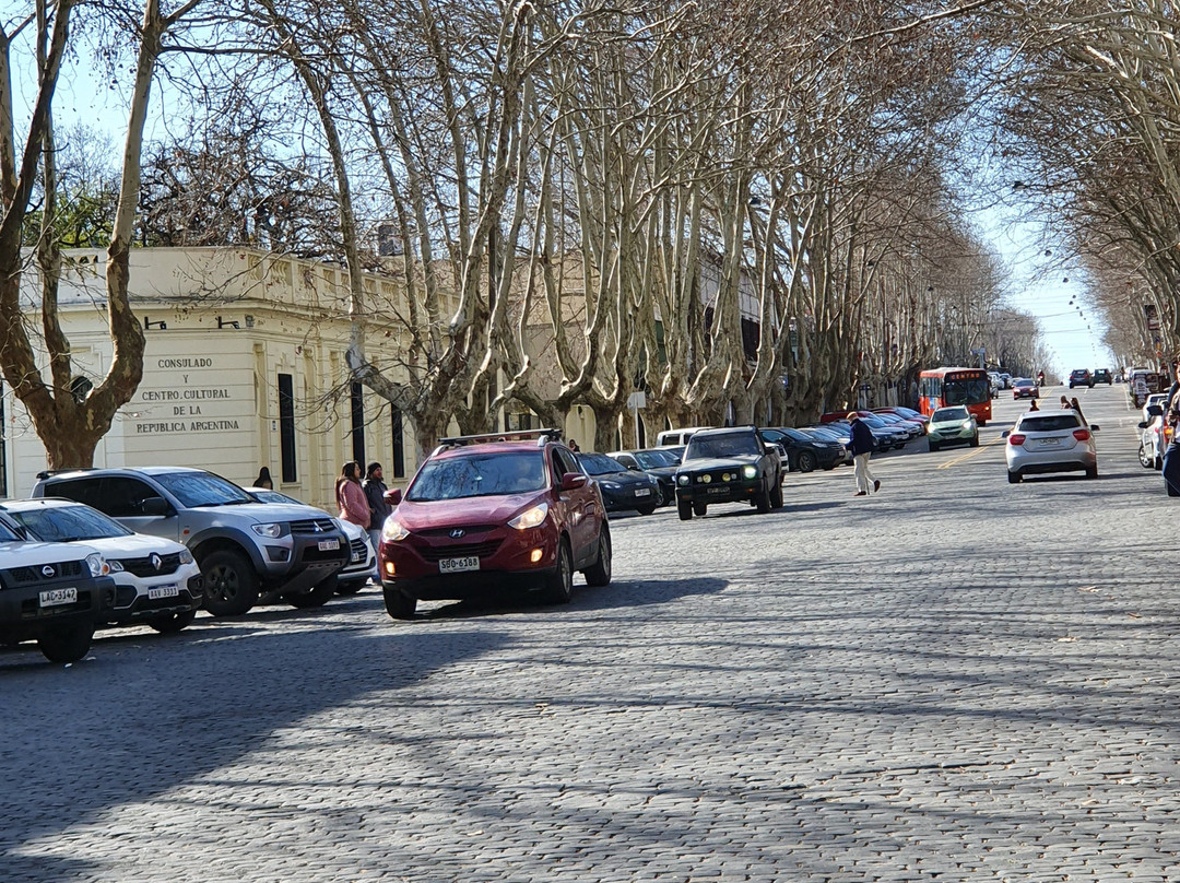 Avenida General Flores-科洛尼亚·德尔萨克拉门托城必去景点