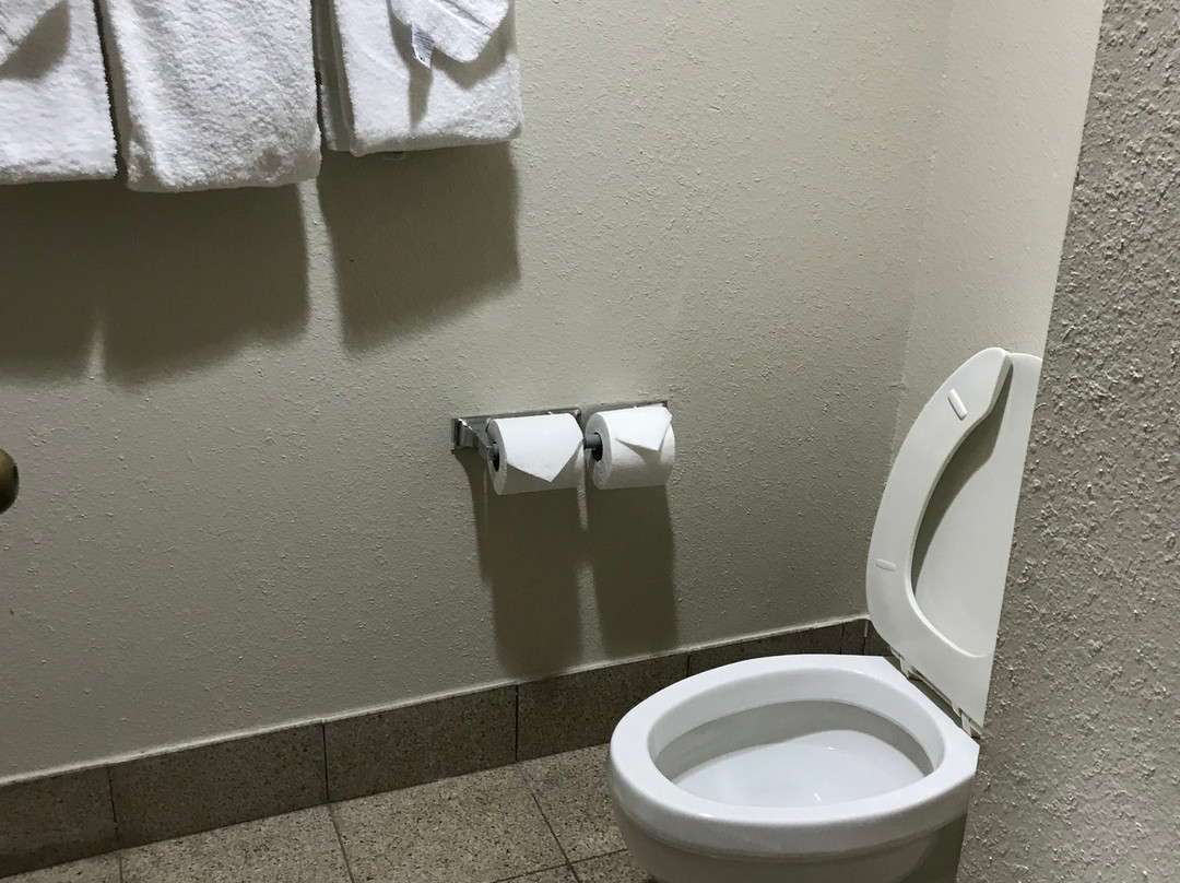 Quality Inn & Suites Miamisburg - Dayton South主图