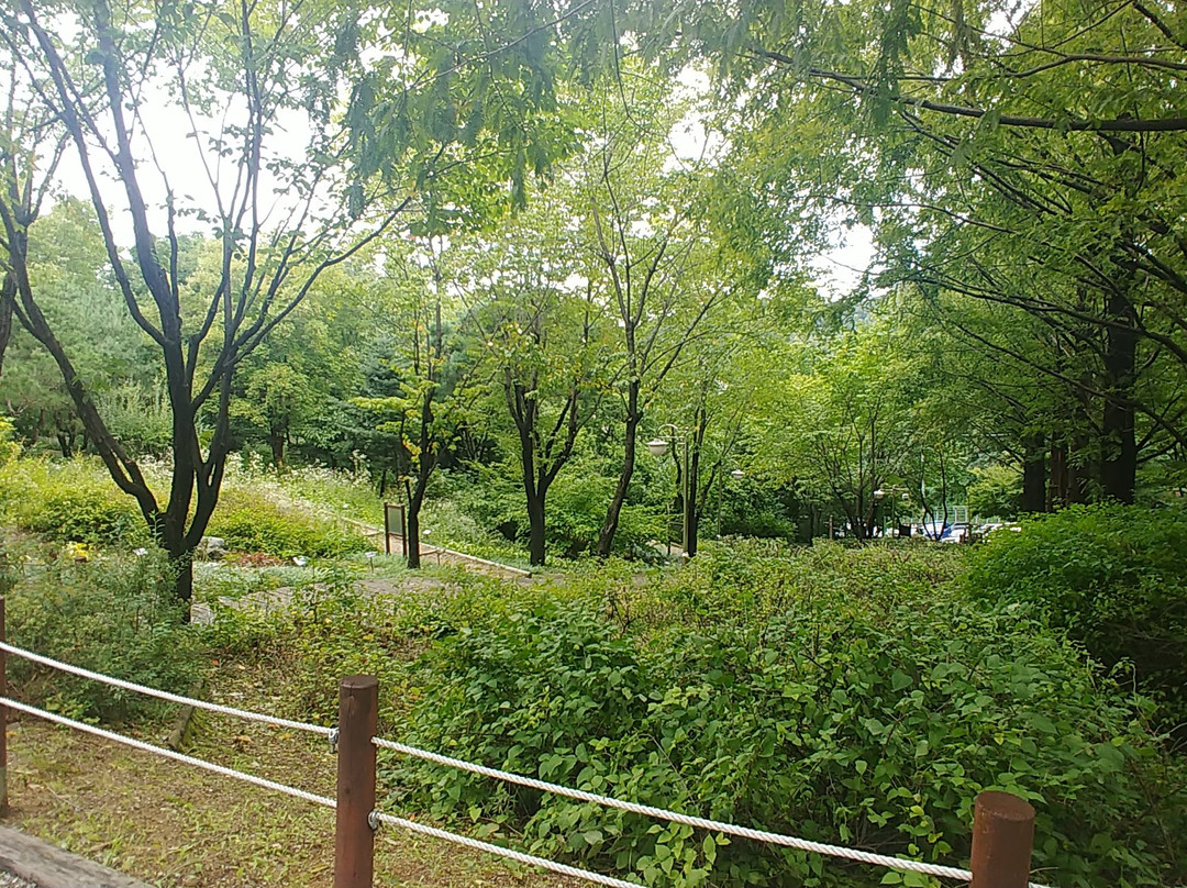 Sungnam Botanical Garden-城南市必去景点