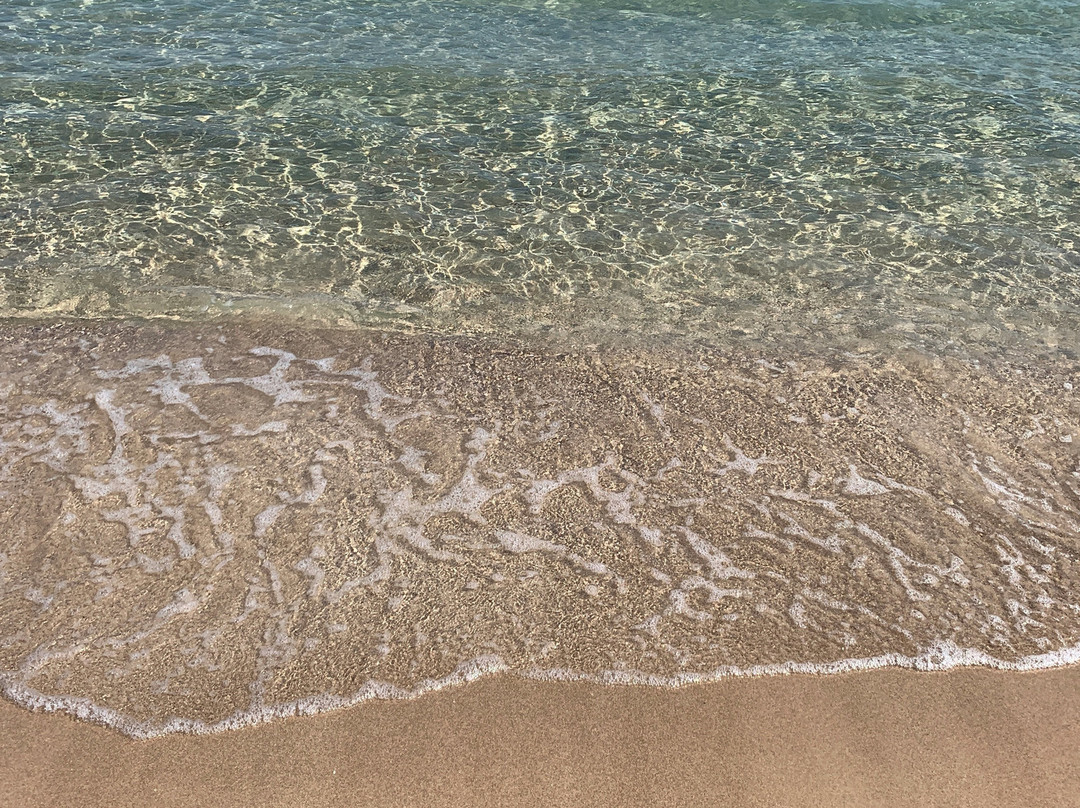 Lido Tavernese景点图片