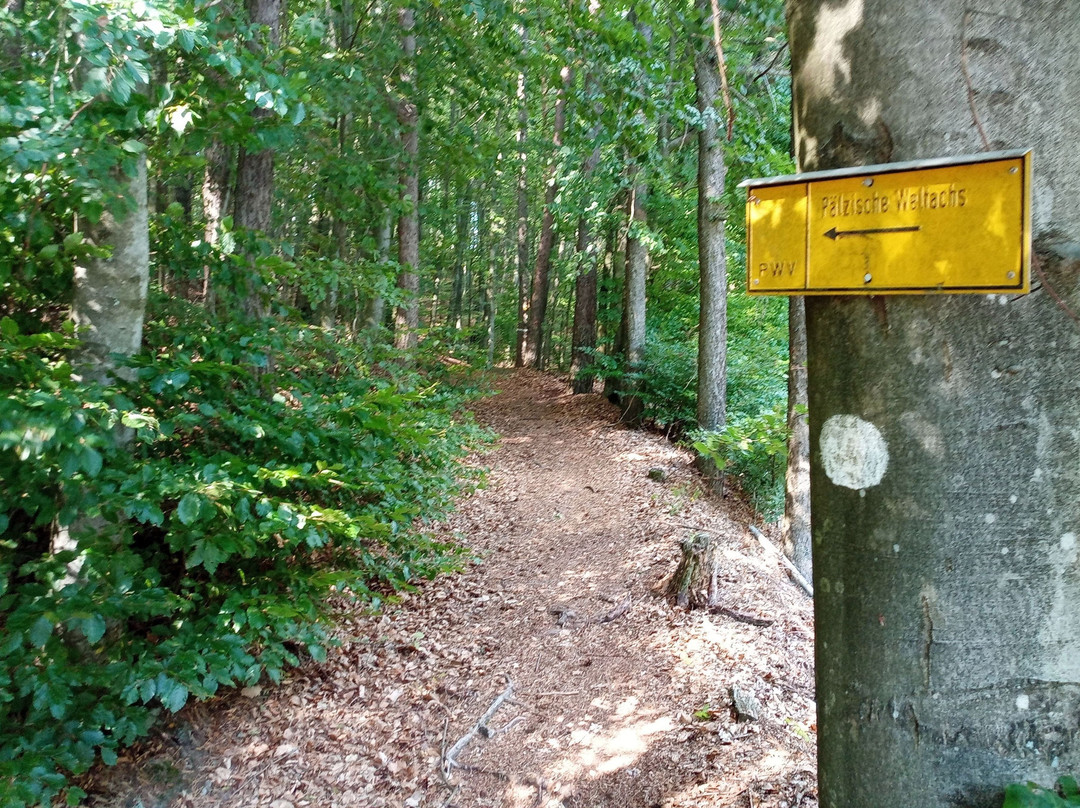 Palzer Weltachs-Hochspeyer必去景点