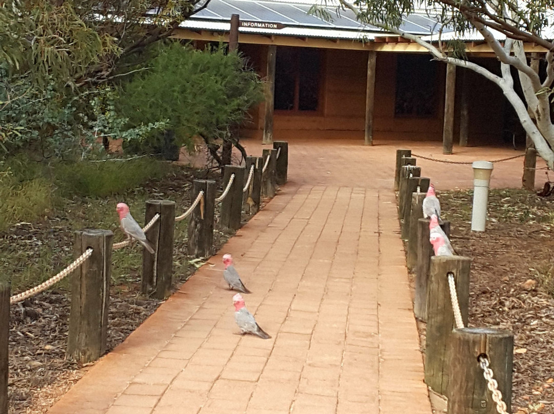 Milyering Discovery Centre-埃克斯茅斯必去景点