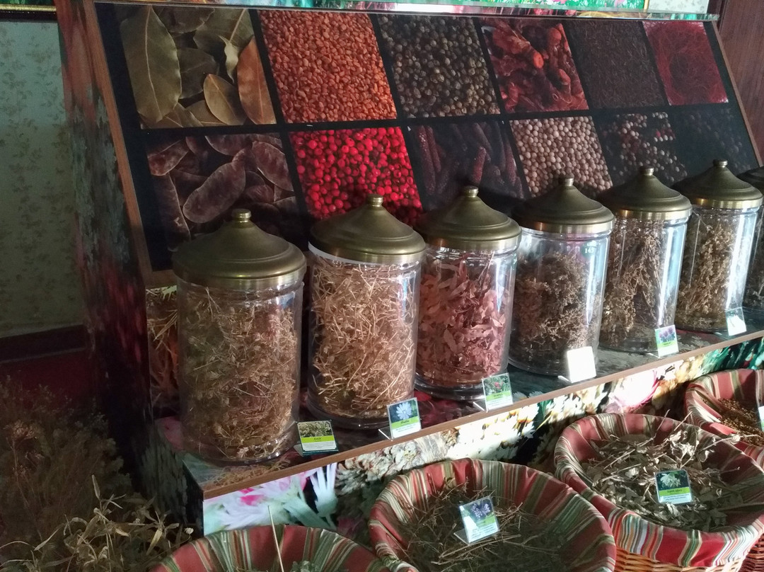 Hatay Tibbi Ve Aromatik Bitkiler Muzesi景点图片