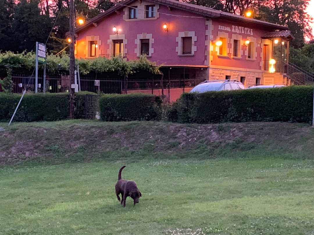 奥特泰克斯酒店主图