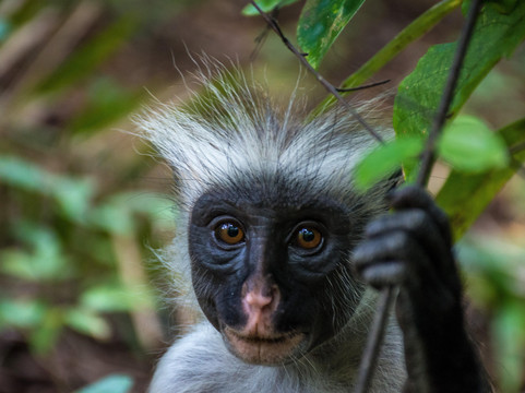Slow Wind Tours-石头城必去景点