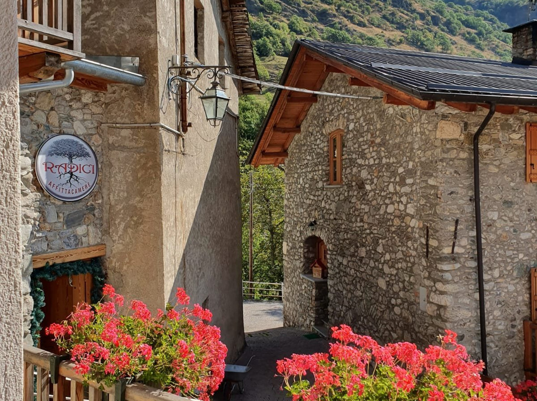 Radici Sambuco Affittacamere主图