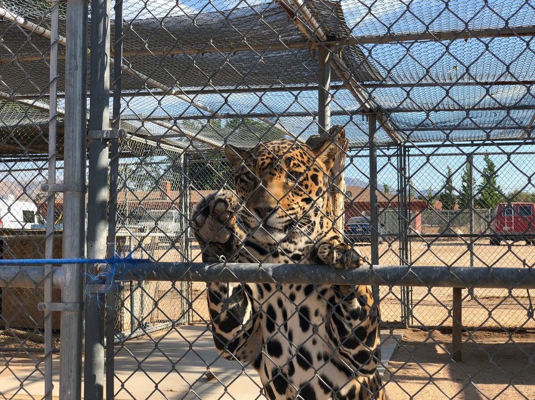 Hesperia Zoo-希斯皮里亚必去景点