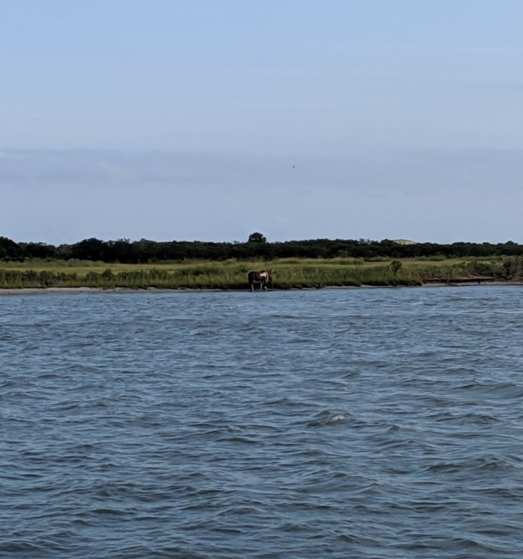 Miss Ocean City-大洋城必去景点