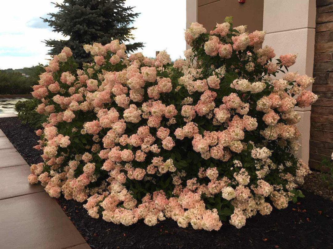 Holiday Inn Express Canandaigua - Finger Lakes By IHG主图