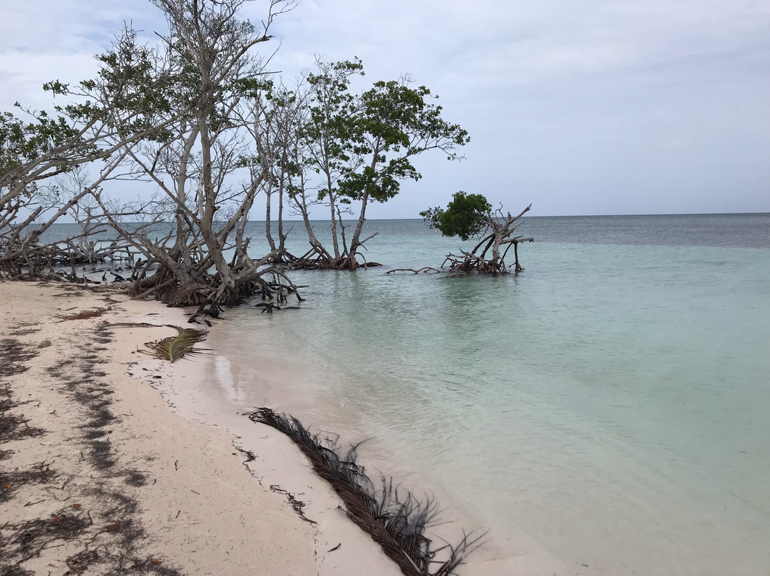 Casa El Pescador主图