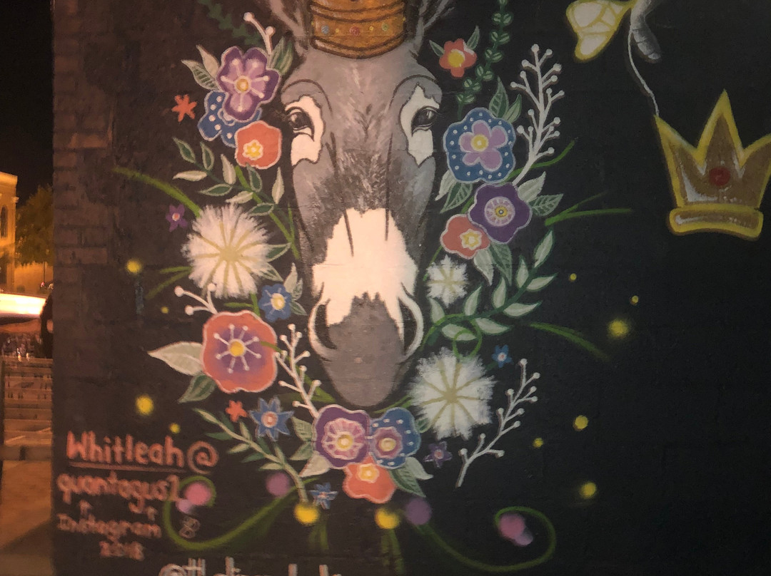 Columbia Town Square-哥伦比亚必去景点