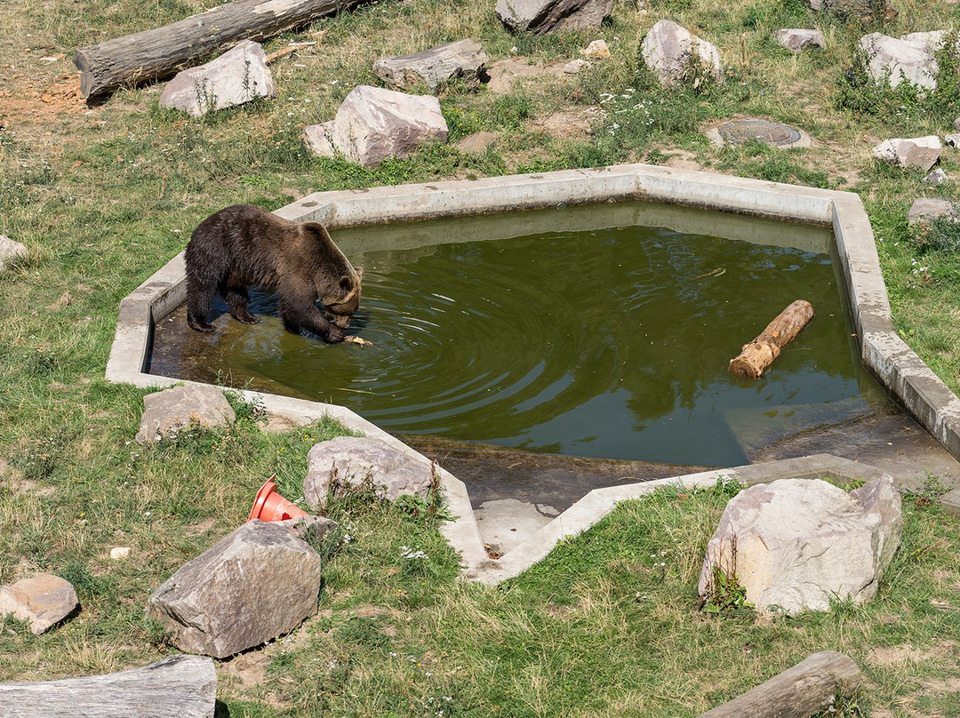 Schloss Hartenfels-Torgau必去景点