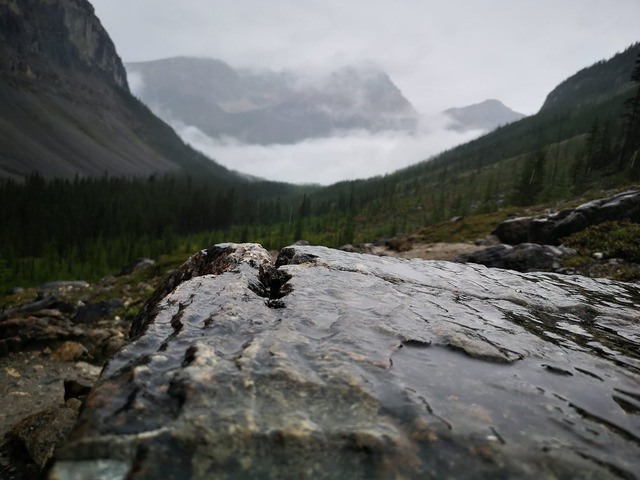 Stanley Glacier景点图片