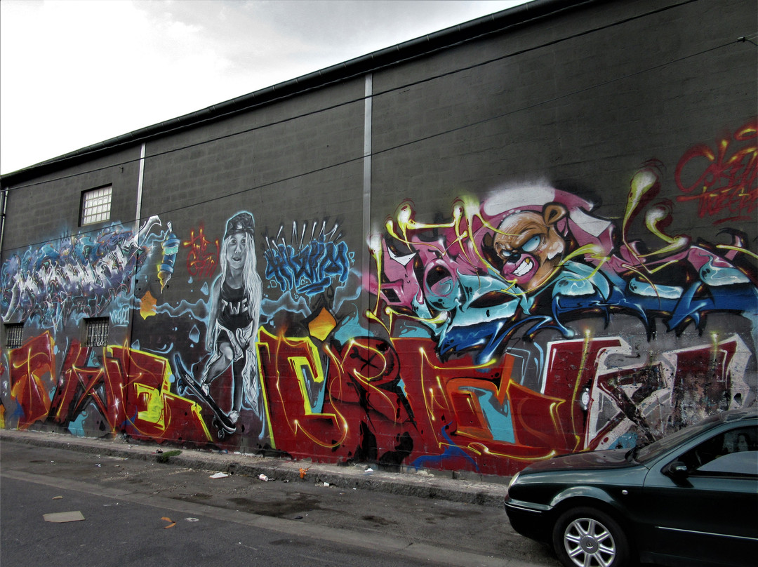 Fresque "Skateboardeuse"