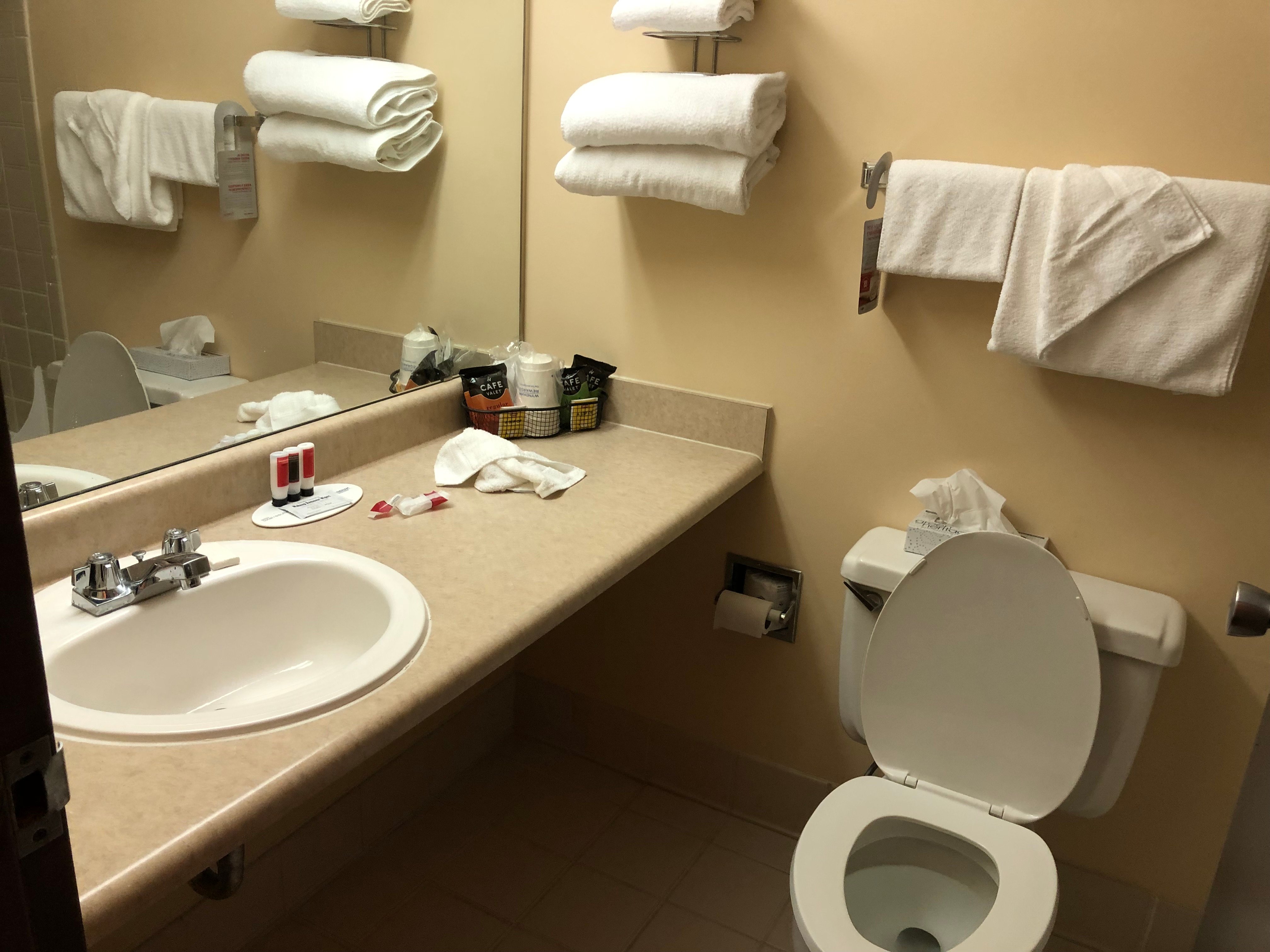 沃特敦华美达酒店-浴室