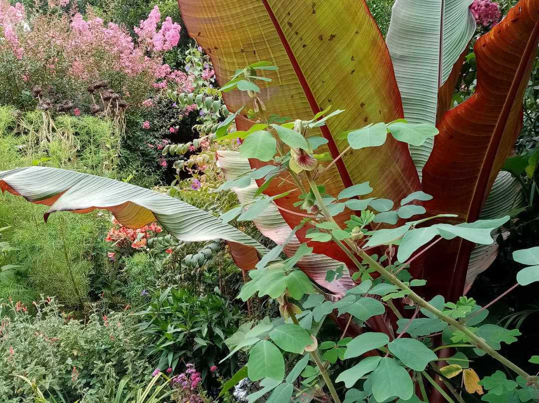Promenade Fleurie景点图片