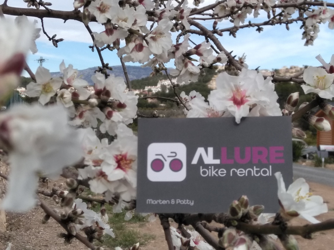 Allure Bike Rental-L'Alfas del Pi必去景点