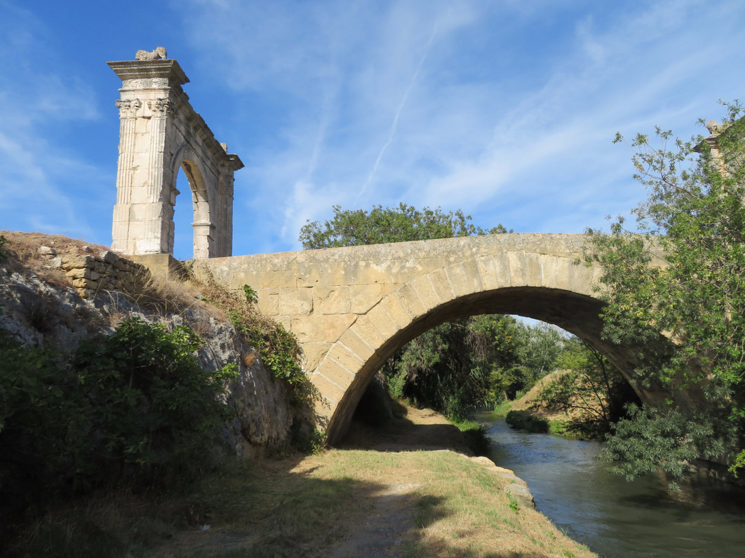 Pont Flavien景点图片