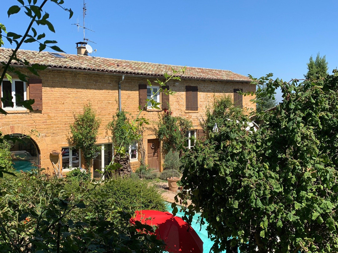 Le Clos des Sources Bonave主图