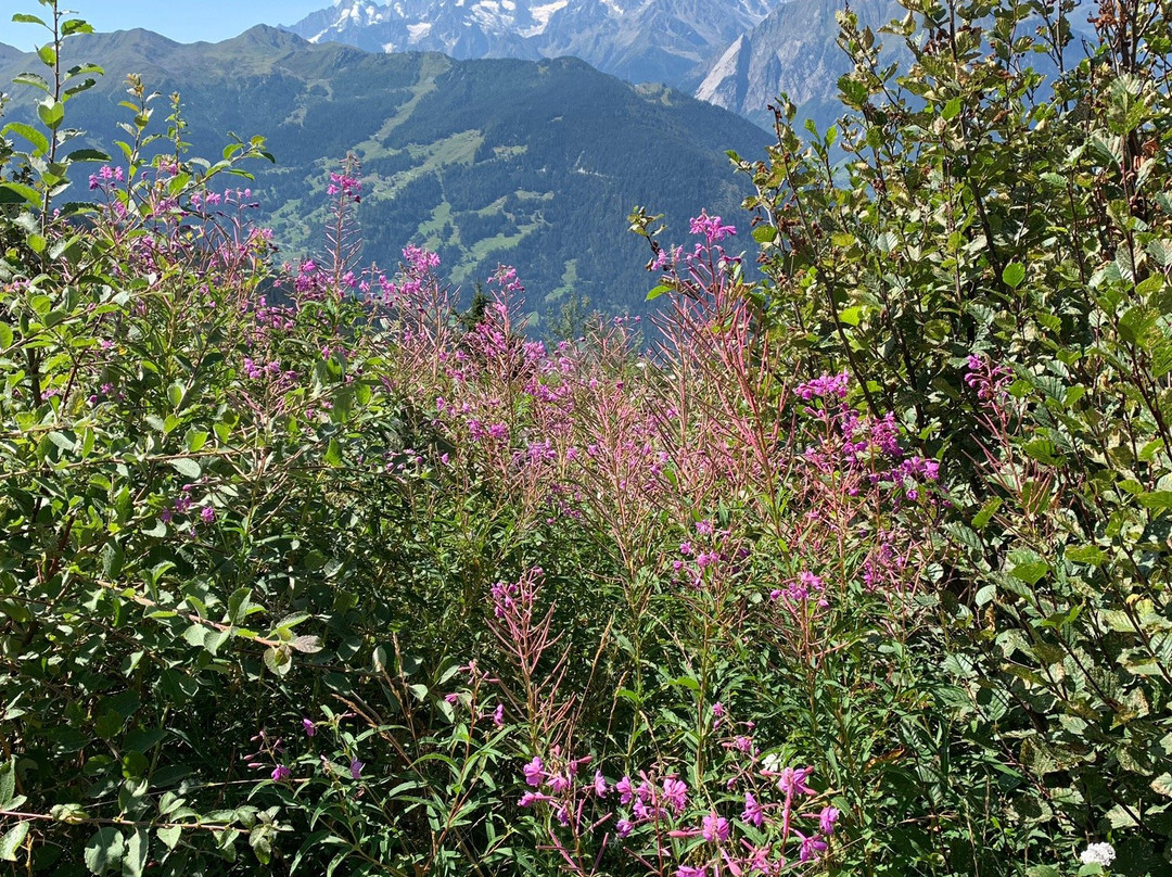 Bisse du Levron-韦比尔必去景点