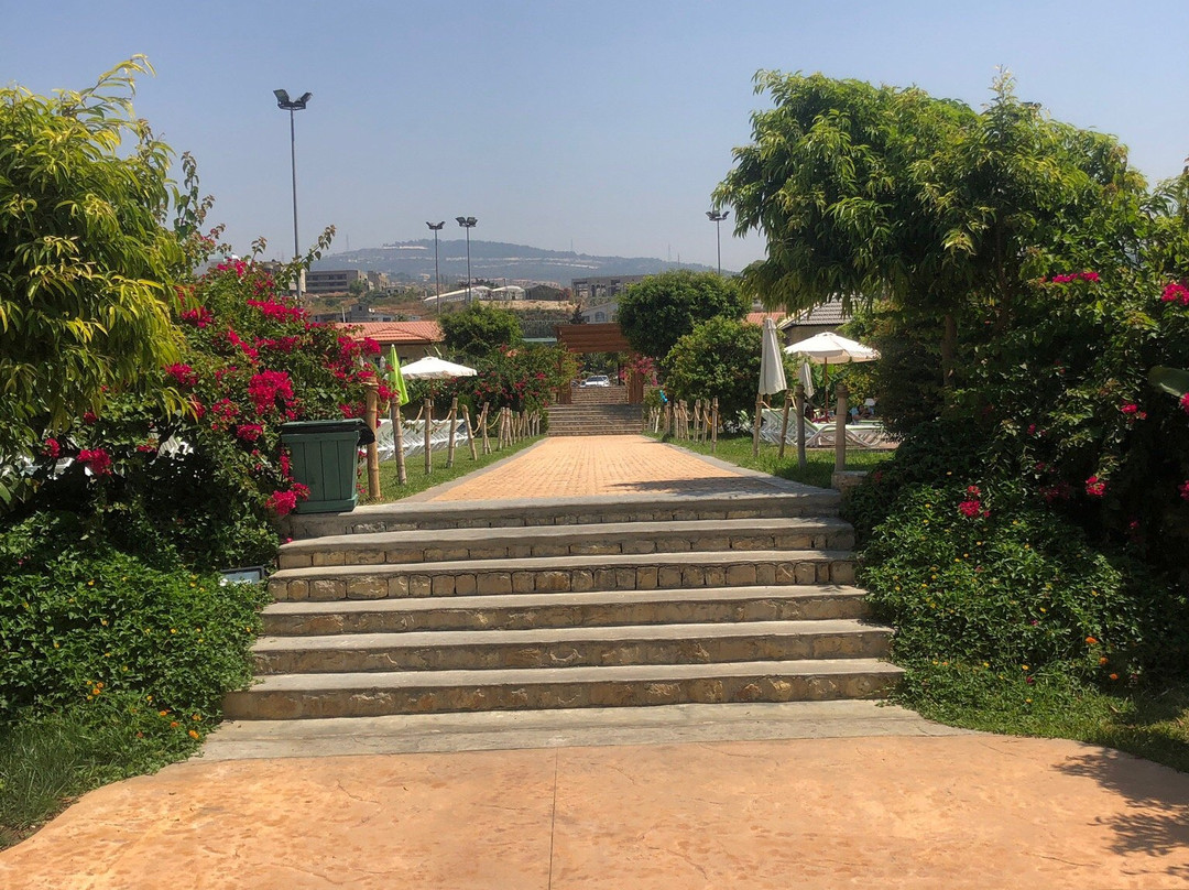 Guanabana-Damour必去景点