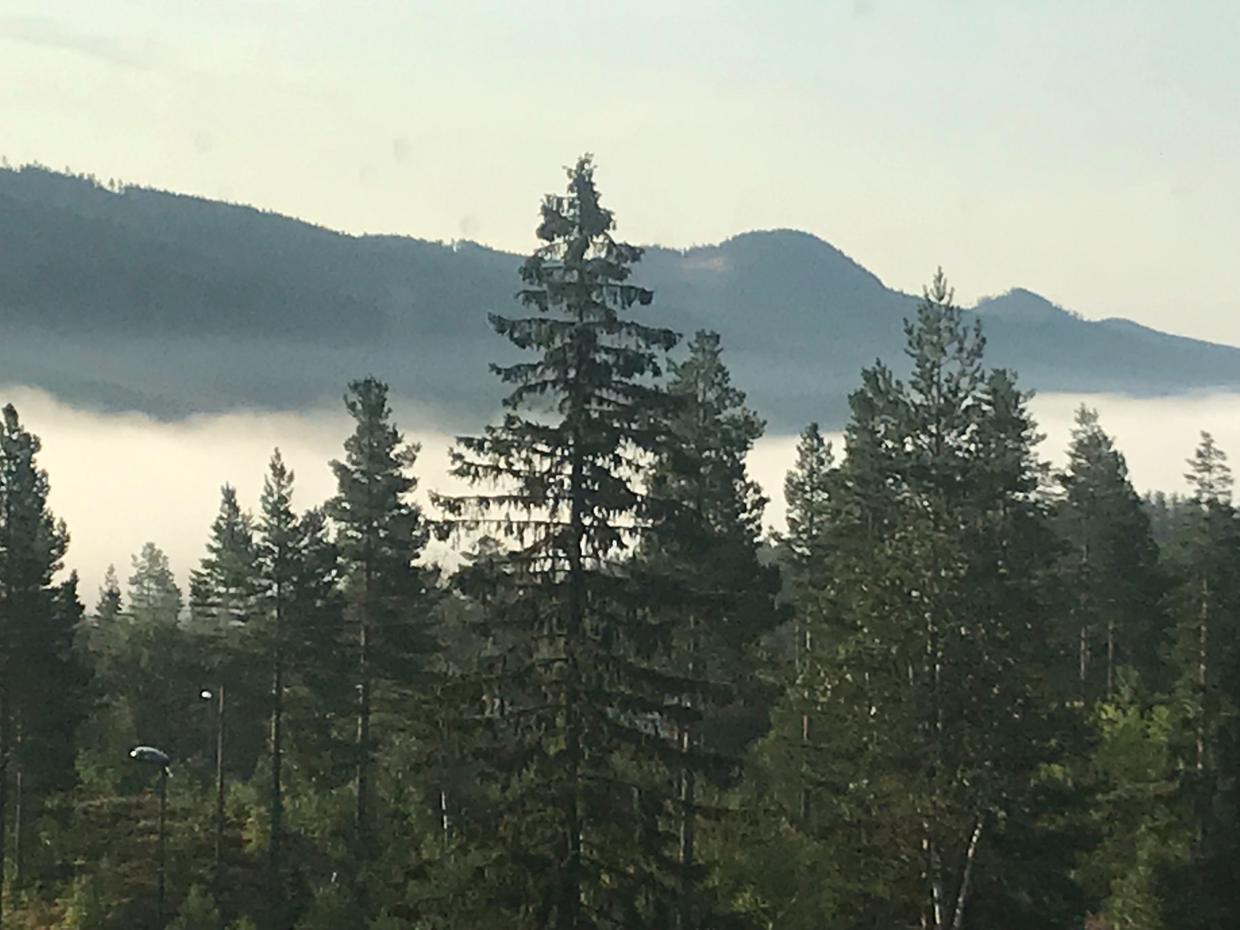Radisson Blu Resort, Trysil-酒店景观