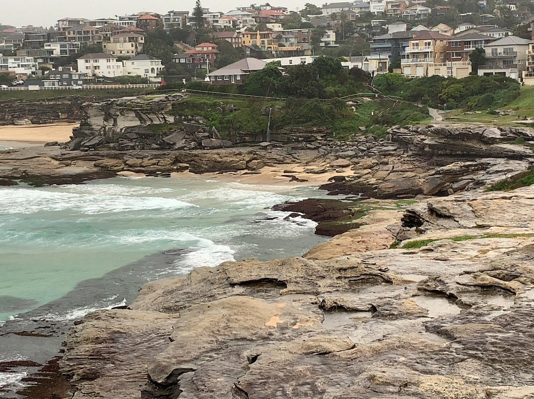 Marks Park-Tamarama必去景点