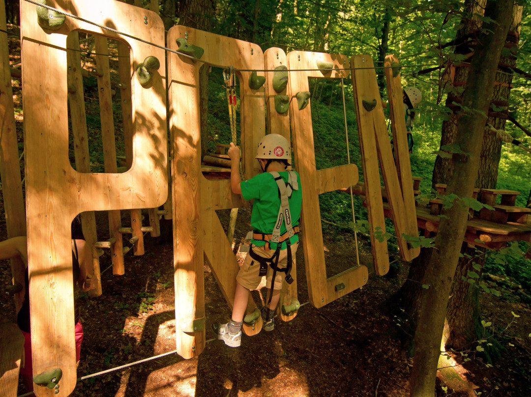 Kletterwald Prien-基姆湖畔普林必去景点